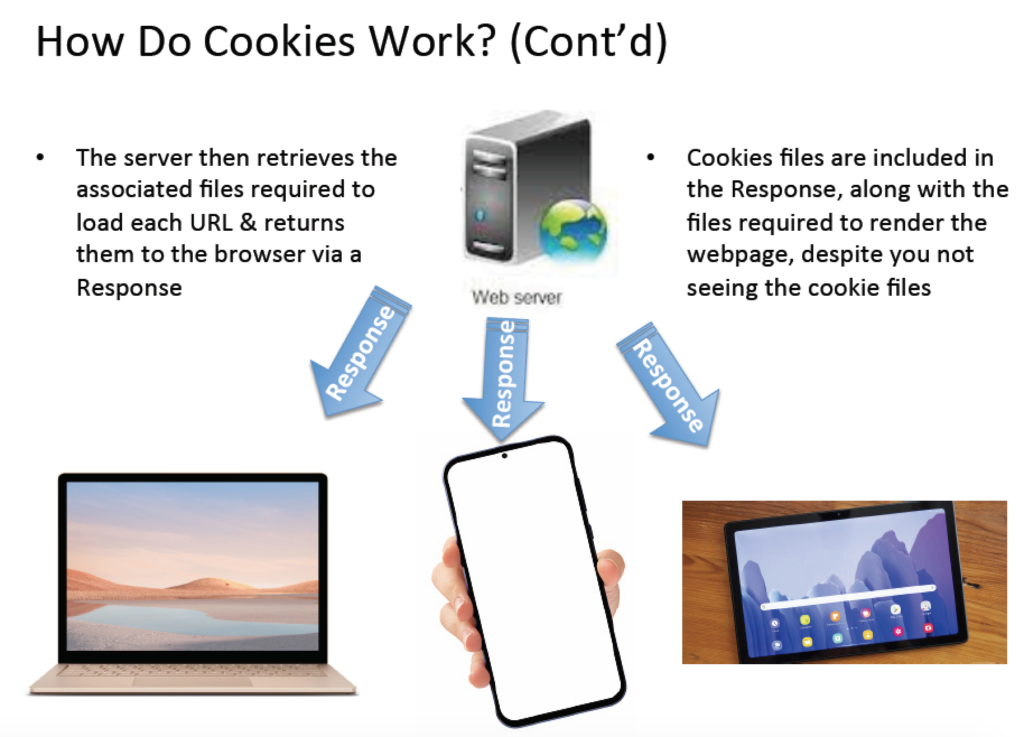 Cookies Are Files Included In A Server's Response To Browser Requests To Load  A Webpage, Despite Not Being Seen On The Rendered Page